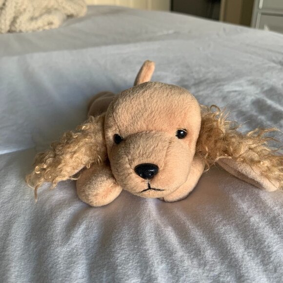 Ty Other - TY Beanie Baby Spunky